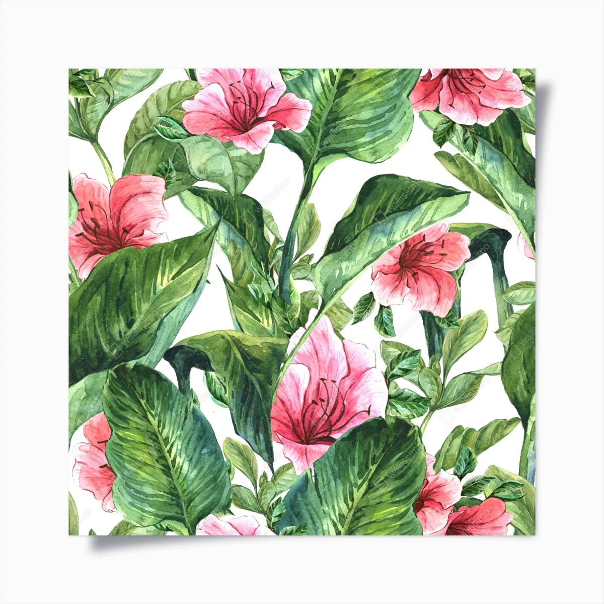 Poster motivo botanico tropicale con fiori rosa • Wallissimo® Poster motivo botanico tropicale con fiori rosa • Wallissimo®