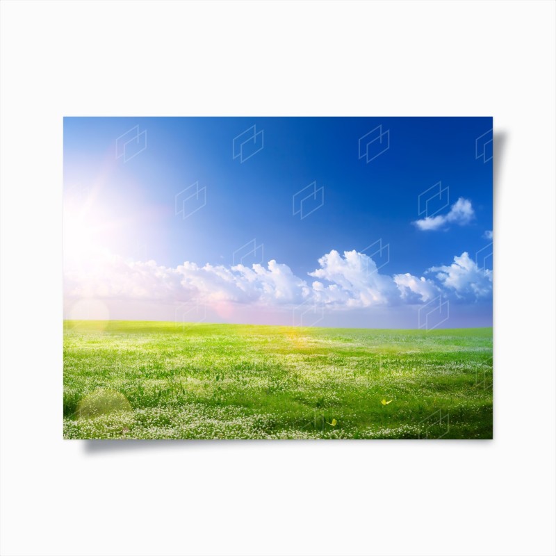 Poster prato primaverile sotto il cielo azzurro