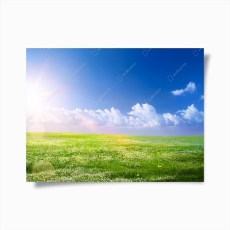 Poster prato primaverile sotto il cielo azzurro • Wallissimo®