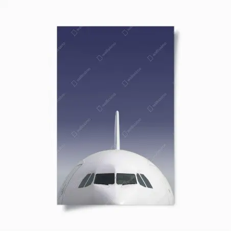Poster muso di aereo su cielo sfumato • Wallissimo®