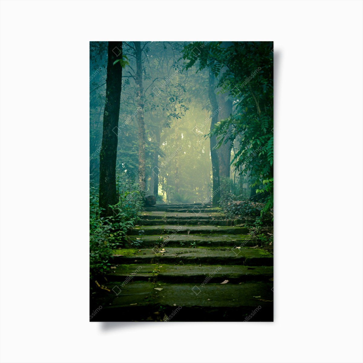 Poster sentiero di pietra nella foresta nebbiosa • Wallissimo®