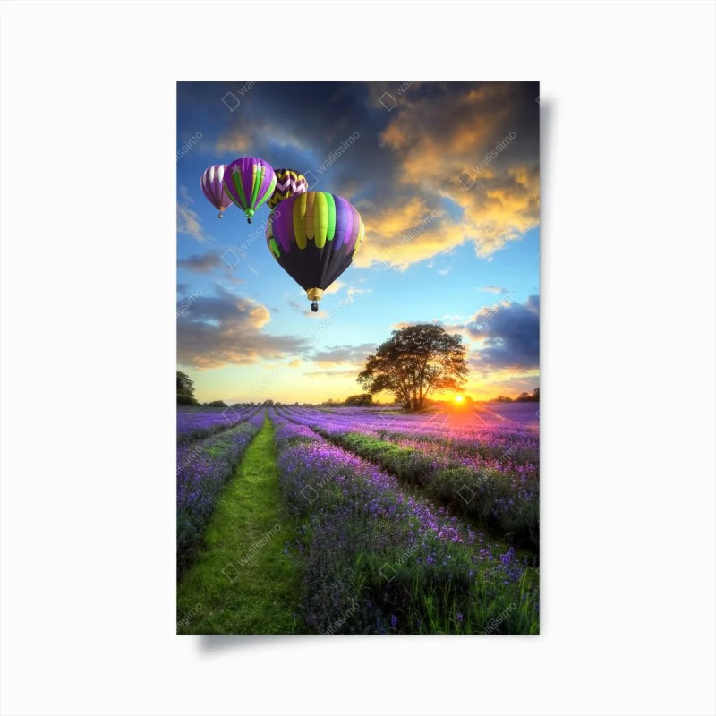 Poster tramonto di lavanda e mongolfiere sulla campagna