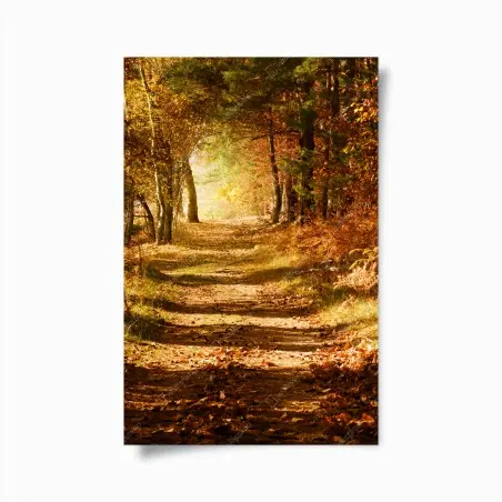 Poster sentiero autunnale nel bosco dorato • Wallissimo®