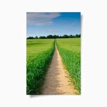 Poster sentiero che conduce all'orizzonte nella campagna verde • Wallissimo®