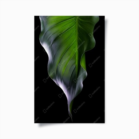 Poster eleganza della foglia verde • Wallissimo®
