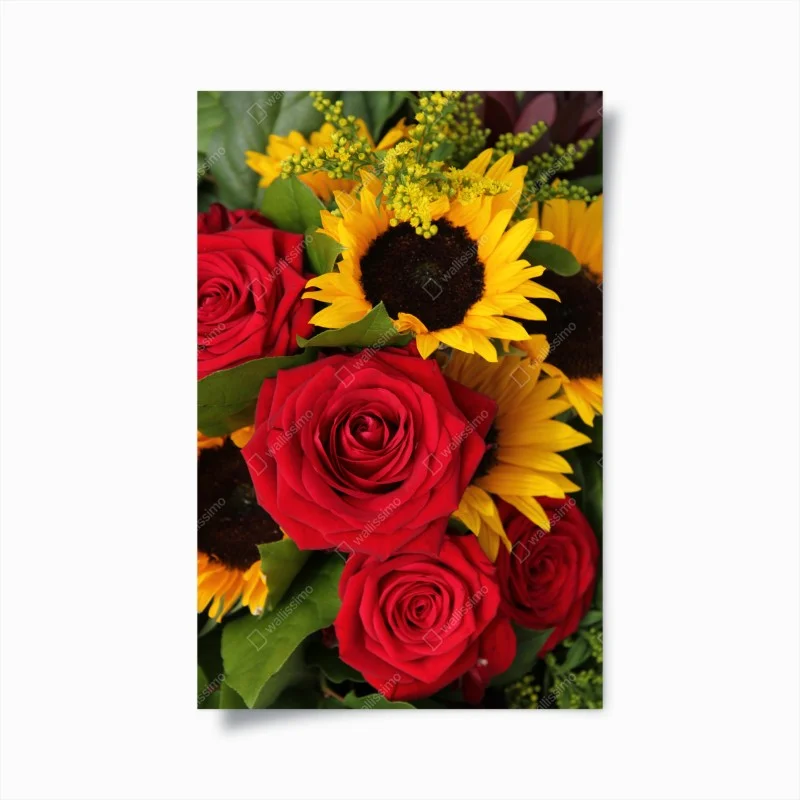 Poster fiori vivaci: rose rosse e girasoli