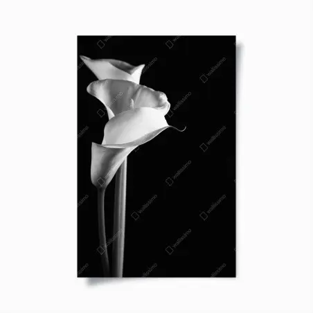 Poster eleganza di calle in bianco e nero • Wallissimo®