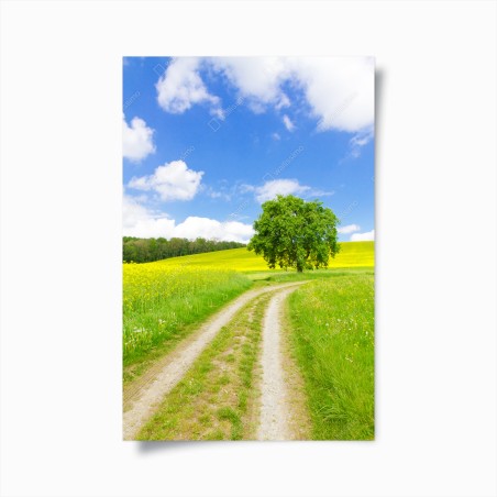 Poster paesaggio di campagna con albero solitario • Wallissimo®
