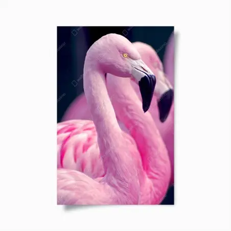 Poster eleganza rosa: profilo di fenicotteri • Wallissimo®