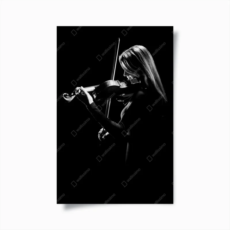 Poster violino in controluce
