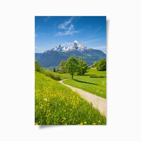 Poster panorama alpino primaverile con sentiero fiorito • Wallissimo®