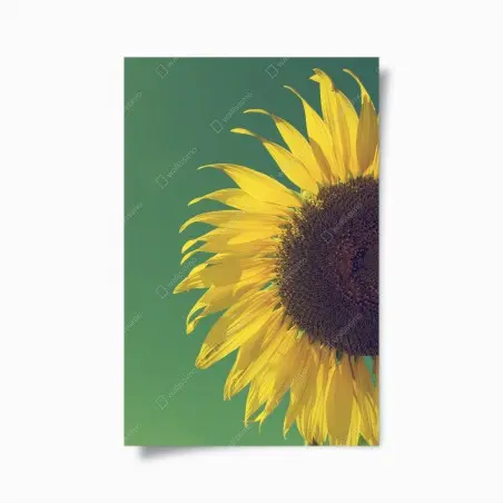 Poster girasole vintage su cielo verde • Wallissimo®