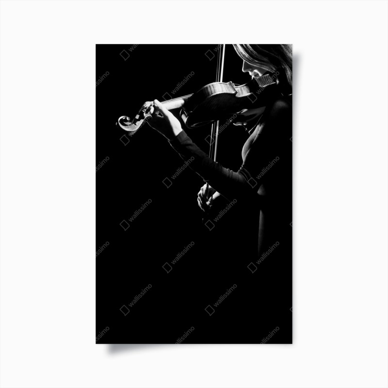 Poster violinista in controluce — arte in bianco e nero