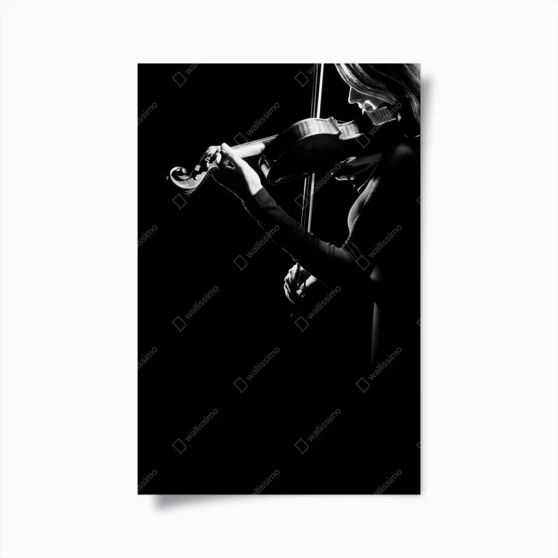 Poster violinista in controluce — arte in bianco e nero