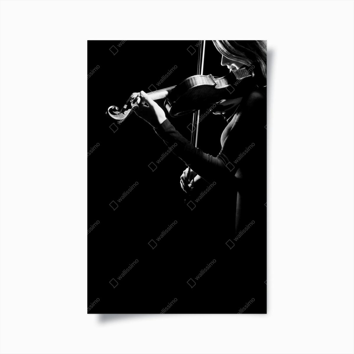 Poster violinista in controluce — arte in bianco e nero • Wallissimo®