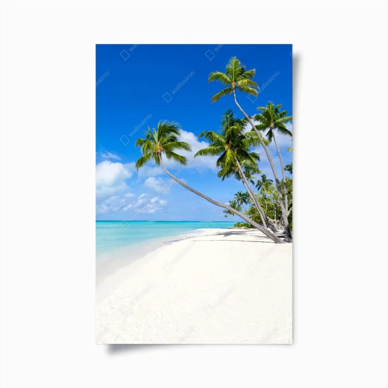 Poster oasi tropicale con palme e sabbia bianca