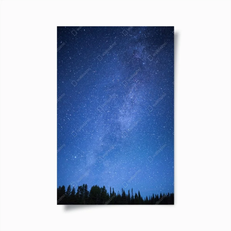 Poster notte stellata sulla foresta