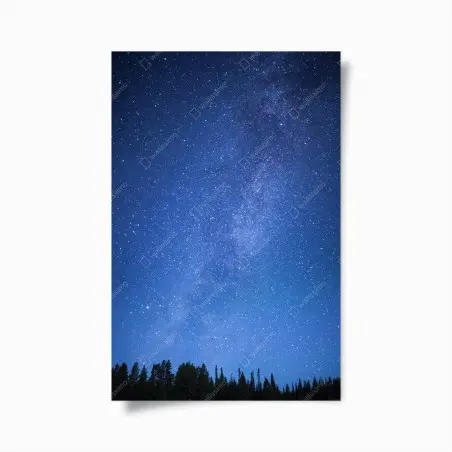 Poster notte stellata sulla foresta • Wallissimo®