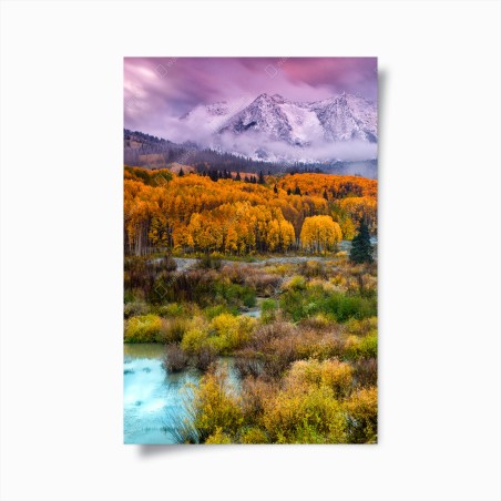 Poster alba rosa su East Beckwith, Kebler Pass, Colorado • Wallissimo®
