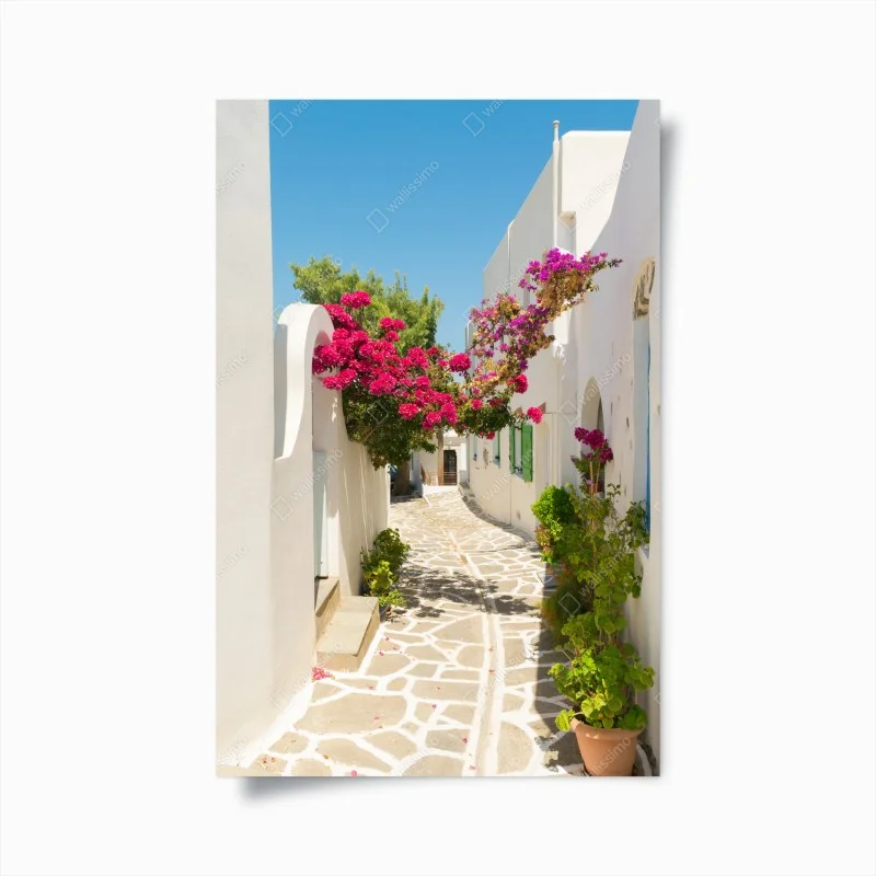 Poster angolo mediterraneo con bouganvillea in fiore