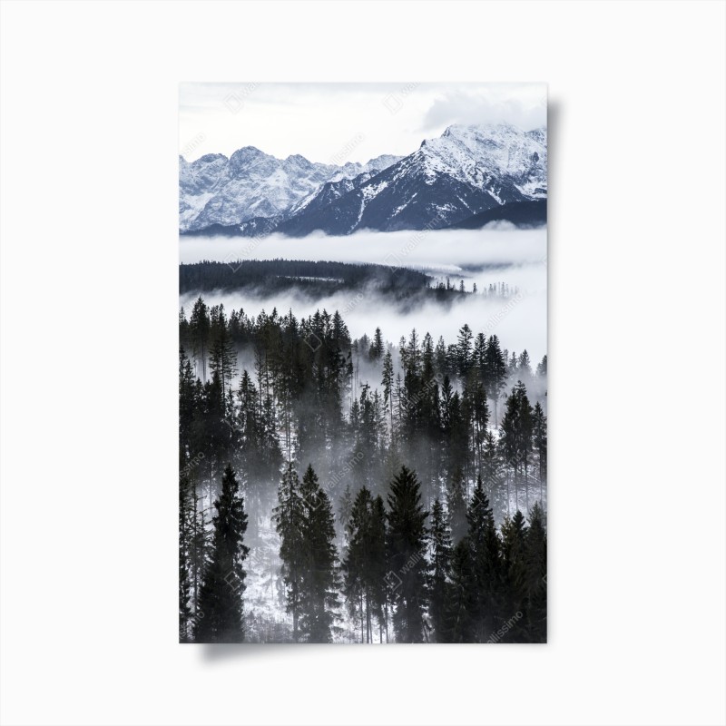 Poster nebbia e foreste dei Tatra