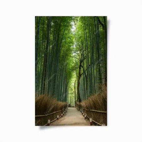 Poster sentiero nella foresta di bambù • Wallissimo®