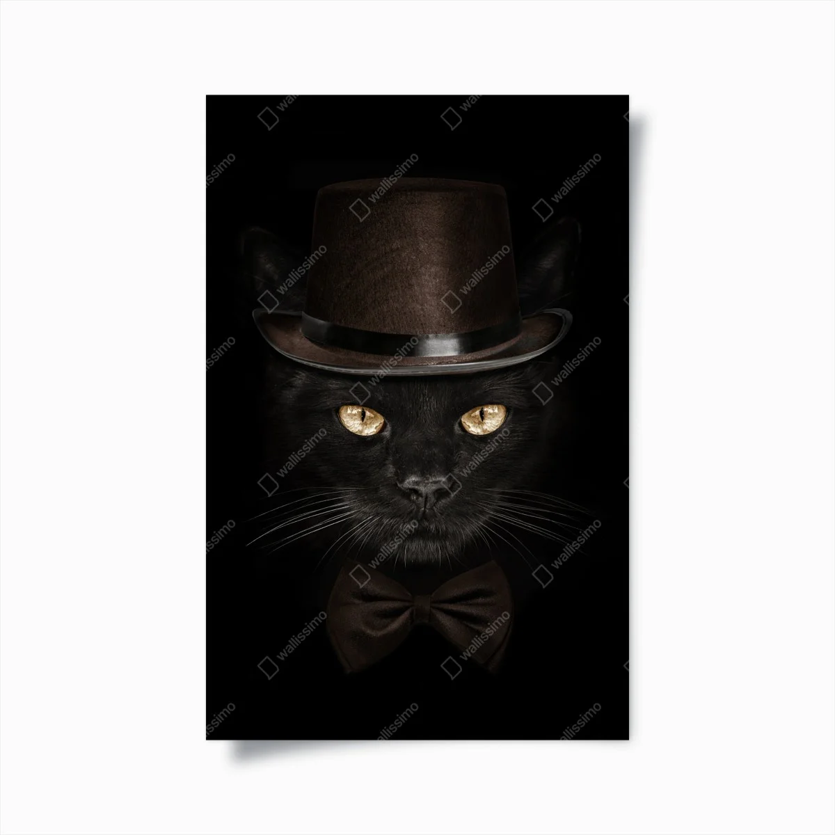 Poster gatto elegante con cappello a cilindro e papillon • Wallissimo® Poster gatto elegante con cappello a cilindro e papillon • Wallissimo®