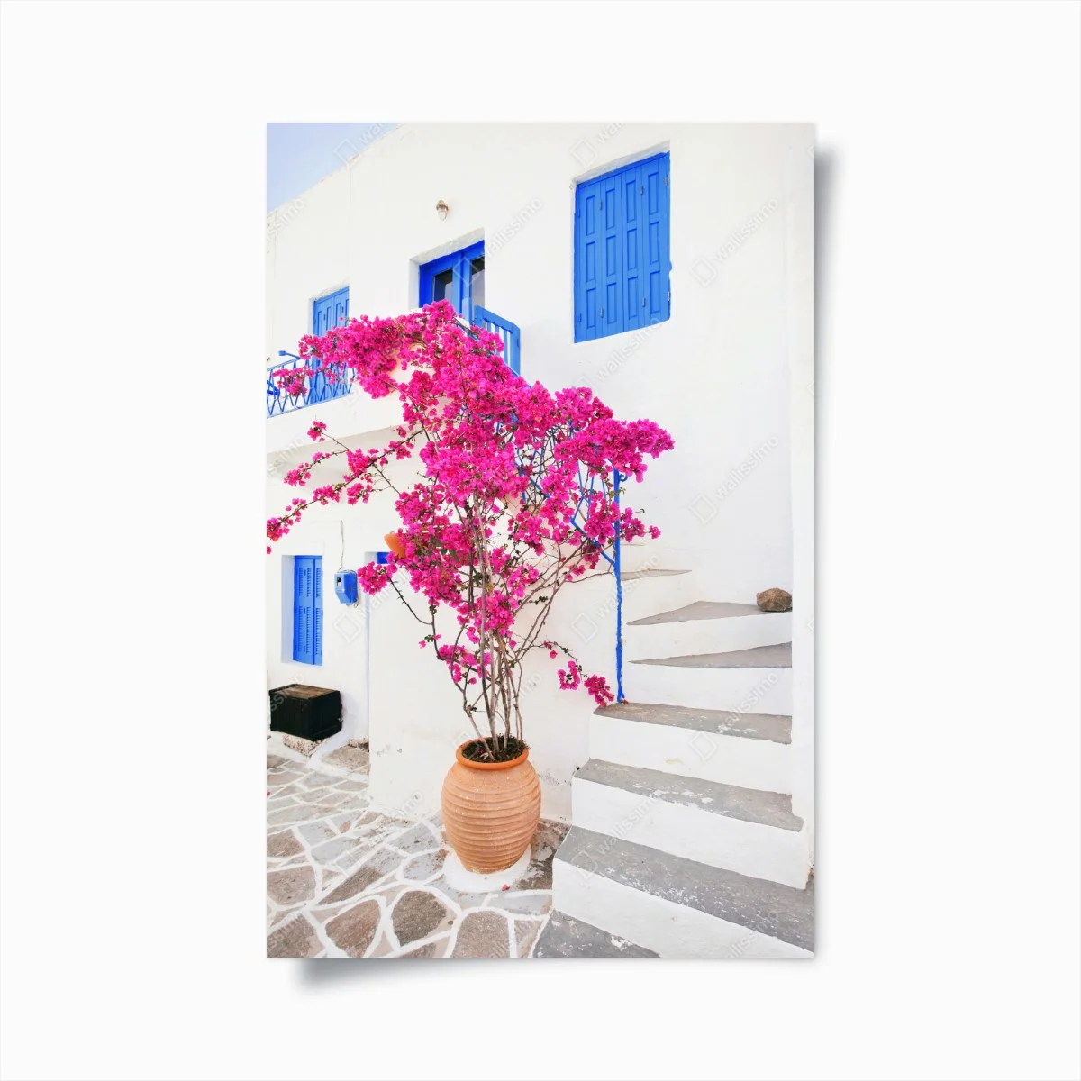 Poster bouganvillea rosa su facciata bianca • Wallissimo® Poster bouganvillea rosa su facciata bianca • Wallissimo®