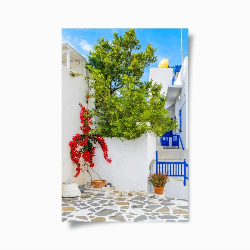 Poster angolo mediterraneo con bougainvillea e porte blu