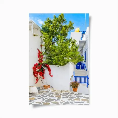 Poster angolo mediterraneo con bougainvillea e porte blu • Wallissimo®