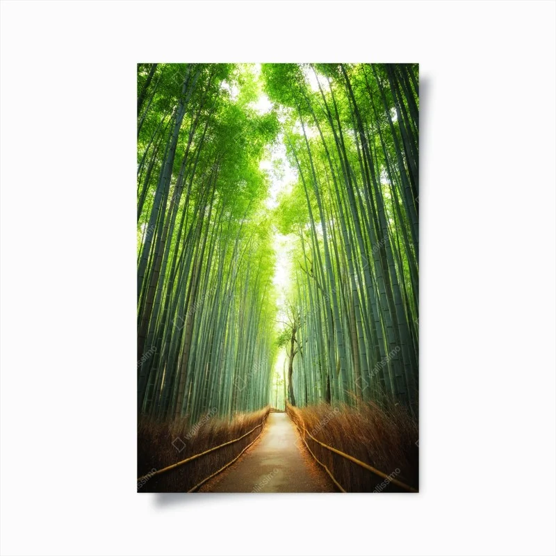 Poster sentiero nella foresta di bambù di Arashiyama