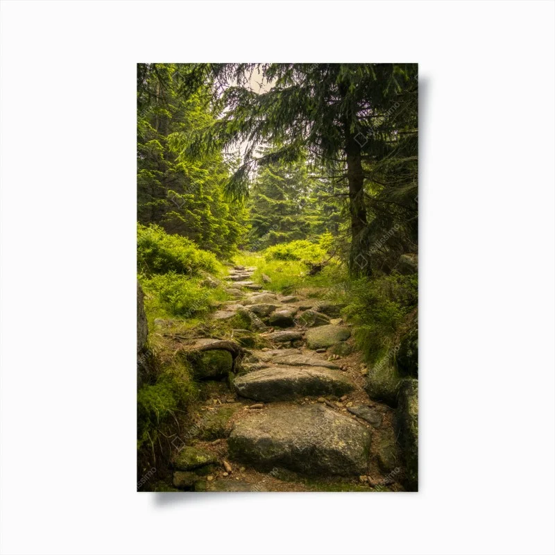 Poster sentiero roccioso nel bosco
