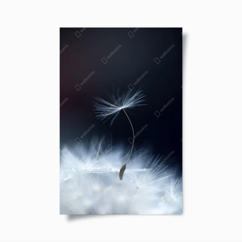 Poster soffione sospeso su sfondo blu