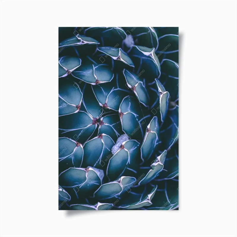 Poster geometria botanica di agave