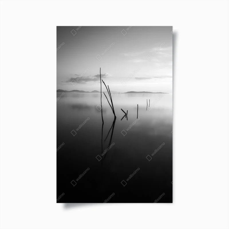 Poster riflessi silenziosi sul lago