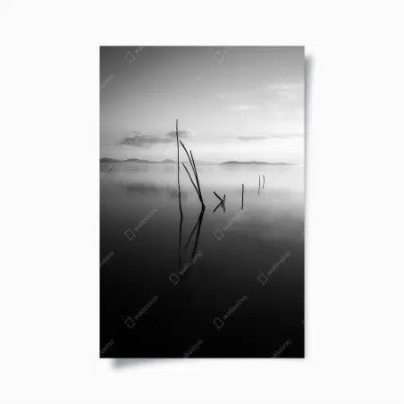 Poster riflessi silenziosi sul lago • Wallissimo®