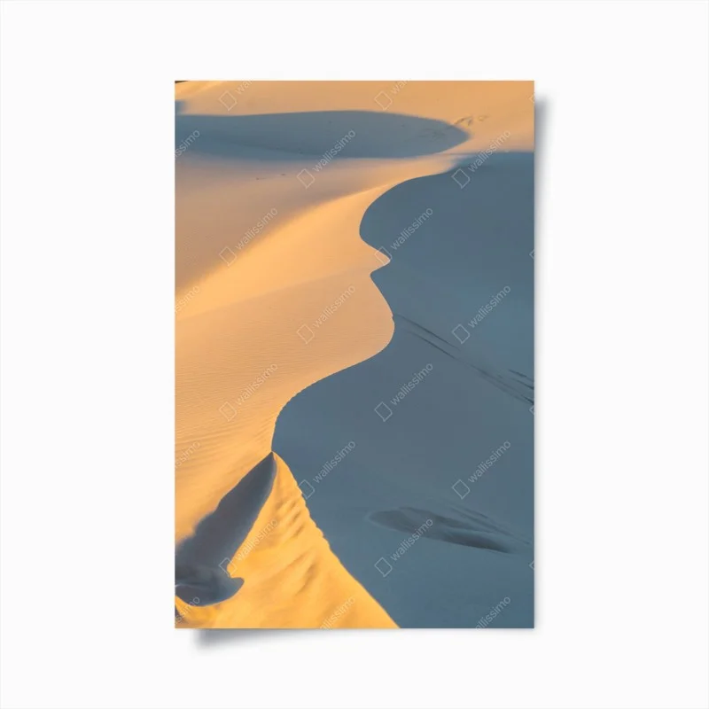 Poster curve dorate del deserto