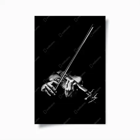 Poster mani al violino in controluce • Wallissimo®
