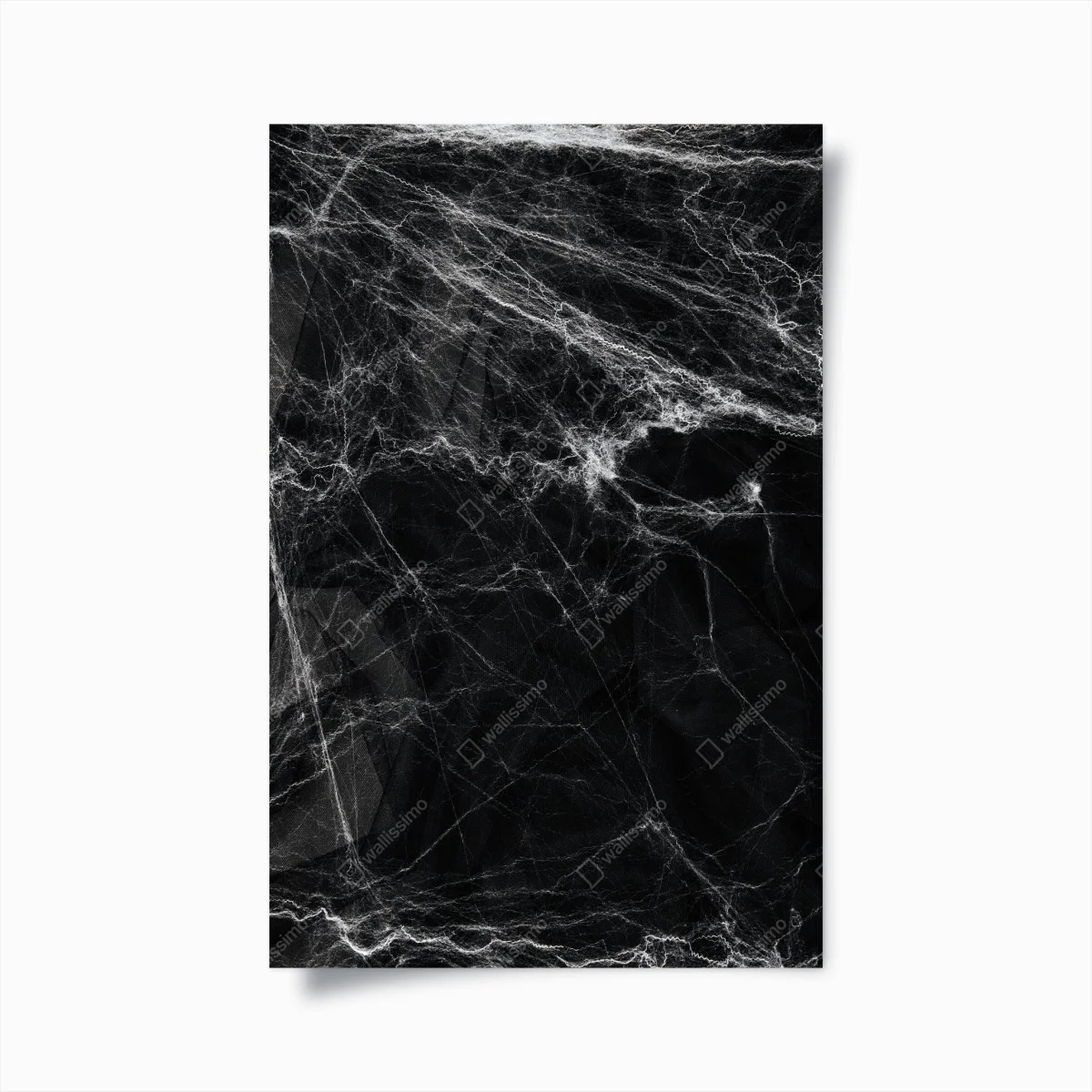 Poster ragnatela spettrale su sfondo nero • Wallissimo® Poster ragnatela spettrale su sfondo nero • Wallissimo®