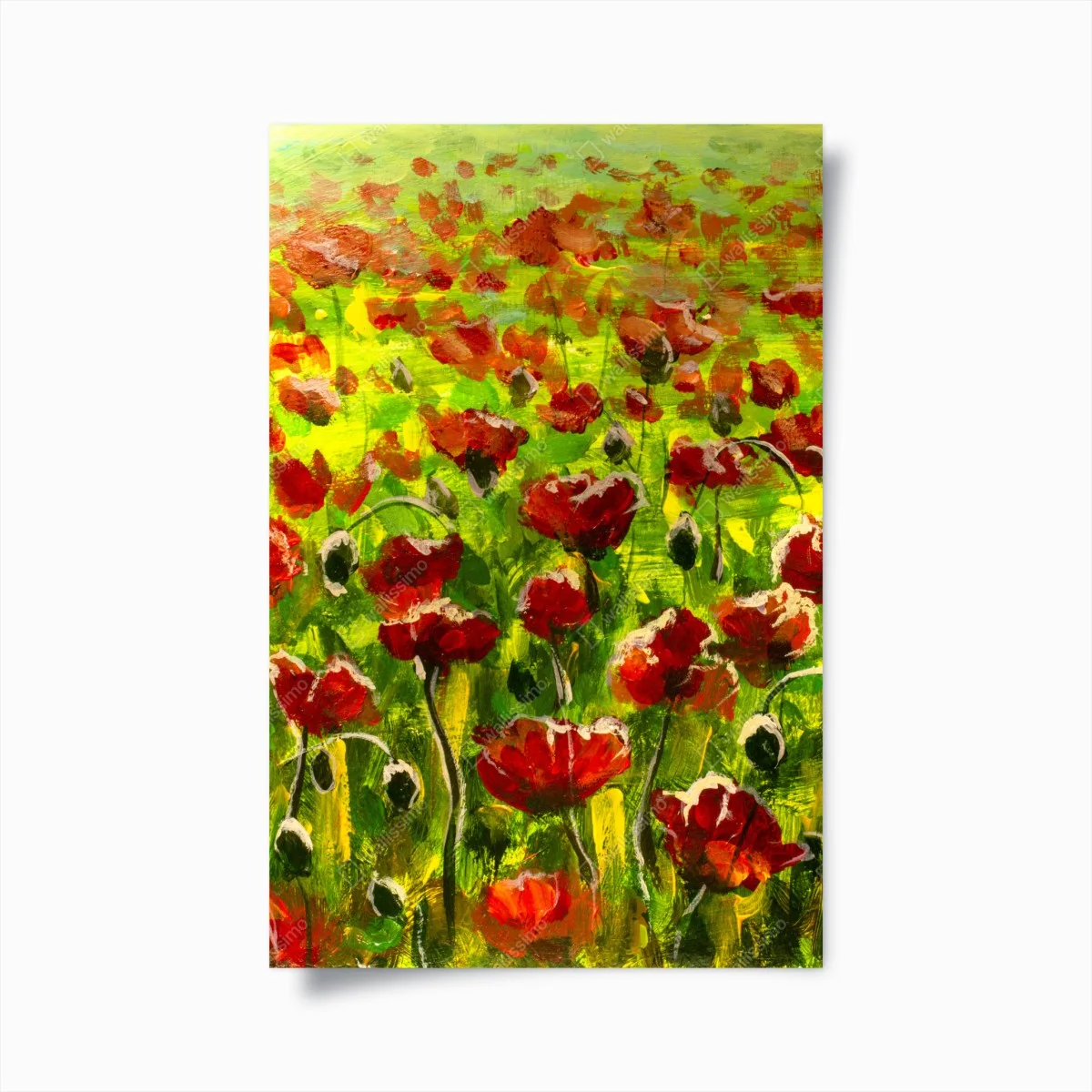 Poster campo di papaveri al tramonto • Wallissimo® Poster campo di papaveri al tramonto • Wallissimo®