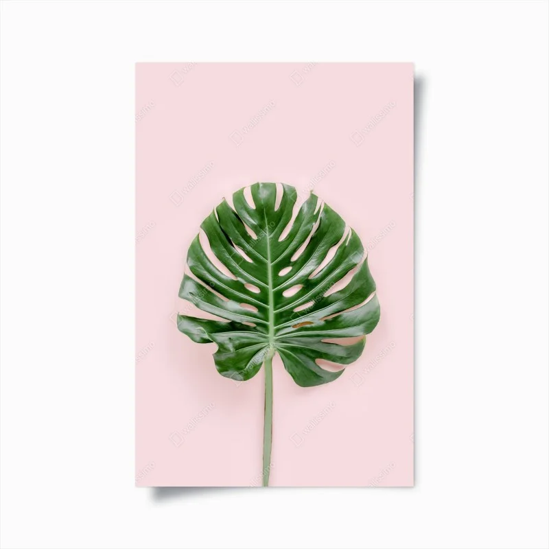 Poster foglia di monstera su sfondo rosa pastello