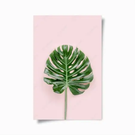 Poster foglia di monstera su sfondo rosa pastello • Wallissimo®
