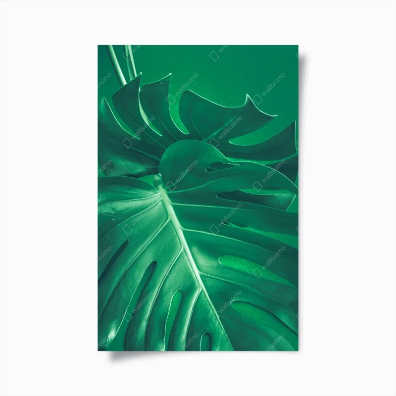 Poster elegante foglia di monstera su sfondo verde