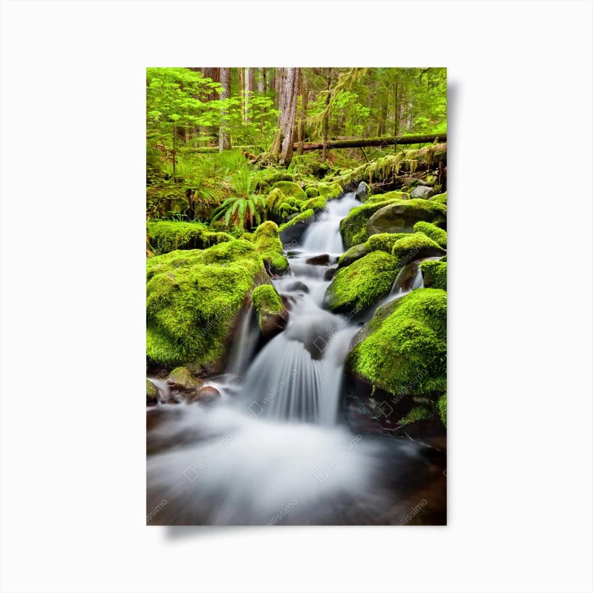 Poster paesaggio incantato della cascata di Sol Duc • Wallissimo® Poster paesaggio incantato della cascata di Sol Duc • Wallissimo®