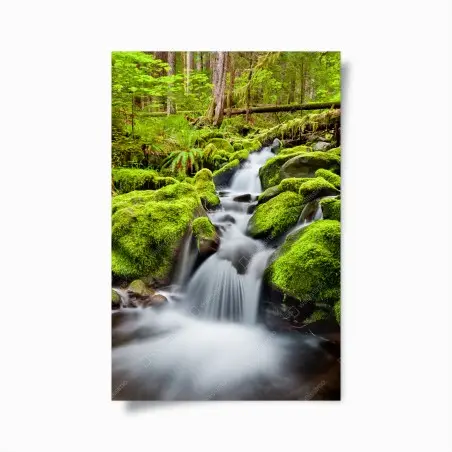 Poster paesaggio incantato della cascata di Sol Duc • Wallissimo®