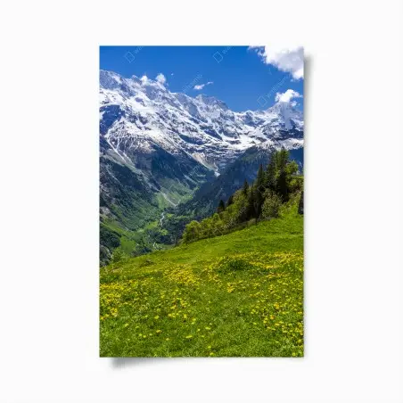 Poster panorama alpino primaverile con prati fioriti • Wallissimo®