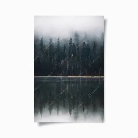 Poster riflessi nella foresta nebbiosa • Wallissimo®