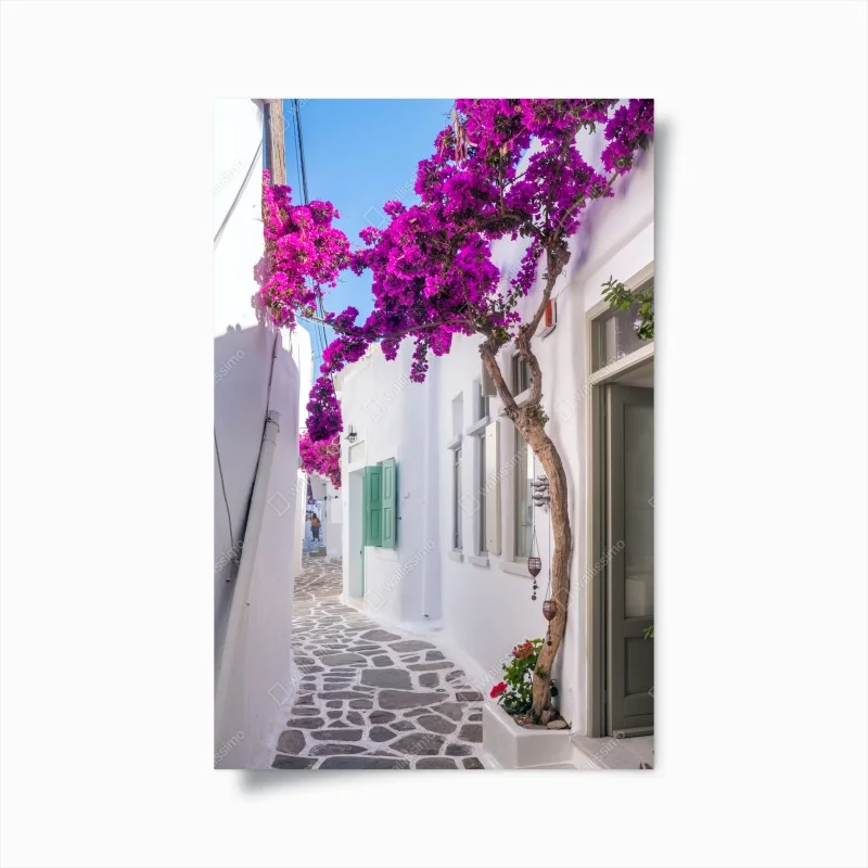 Poster vicolo fiorito in Grecia