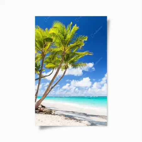 Poster paradiso tropicale: palme su spiaggia bianca • Wallissimo®