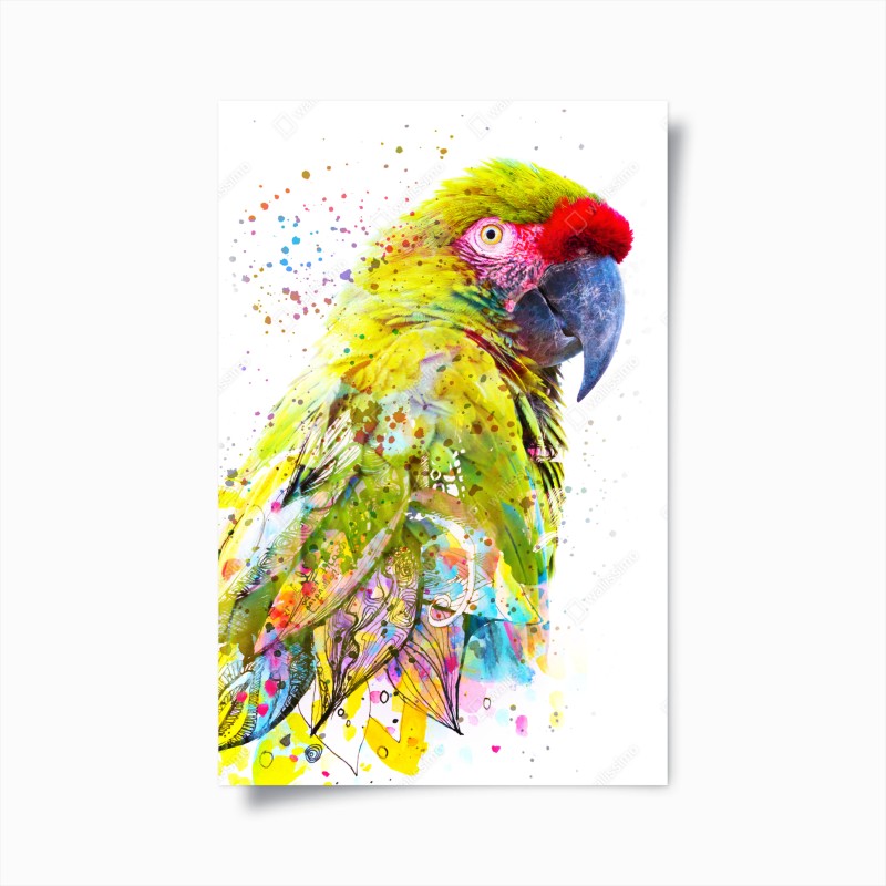 Poster pappagallo tropicale in acquerello vibrante